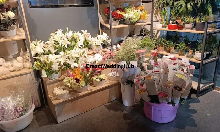 Gifts and Cakes in Gomti Nagar  Lucknow